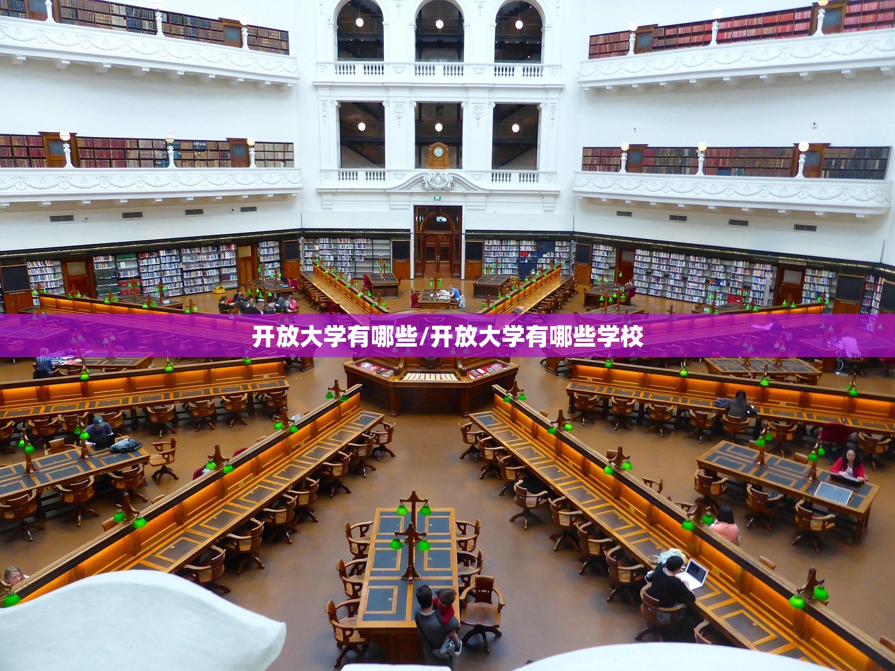 开放大学有哪些/开放大学有哪些学校