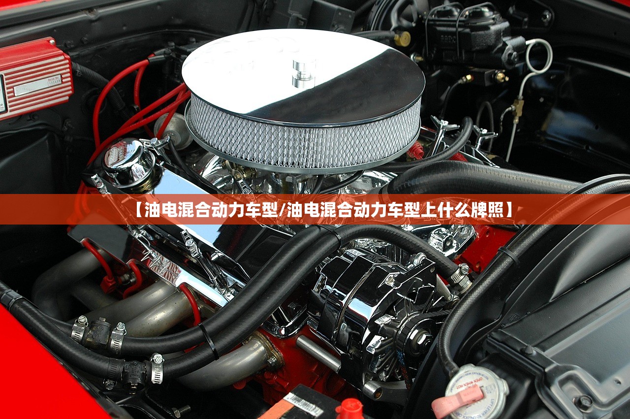【油电混合动力车型/油电混合动力车型上什么牌照】