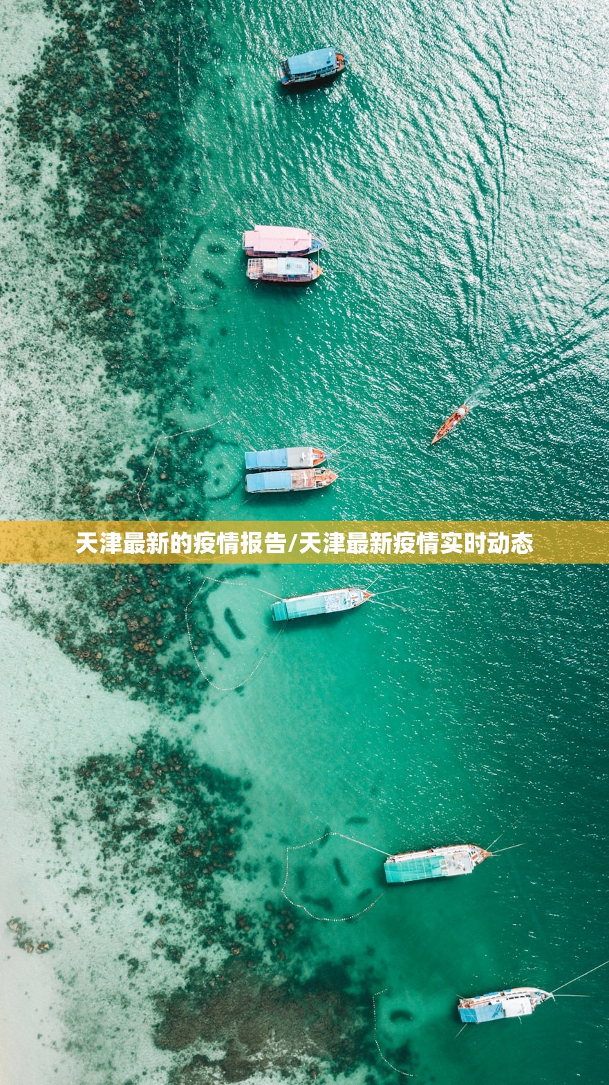 天津最新的疫情报告/天津最新疫情实时动态
