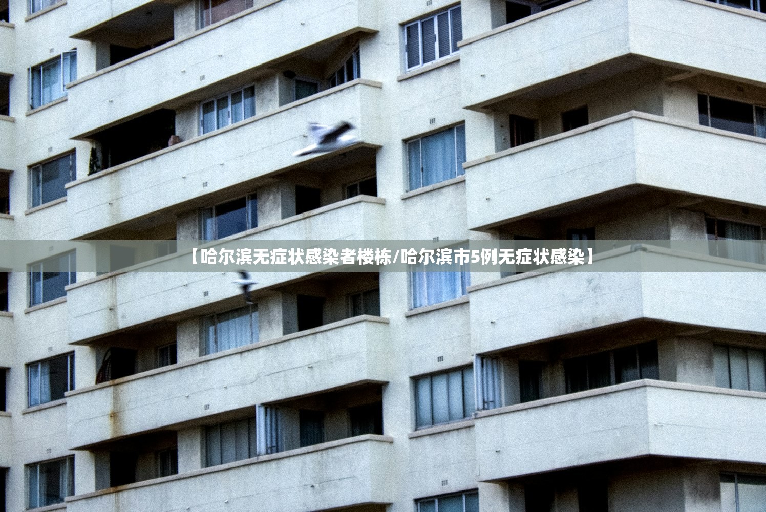 【哈尔滨无症状感染者楼栋/哈尔滨市5例无症状感染】