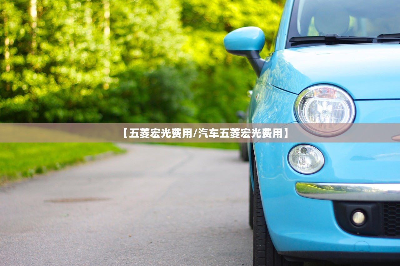 【五菱宏光费用/汽车五菱宏光费用】