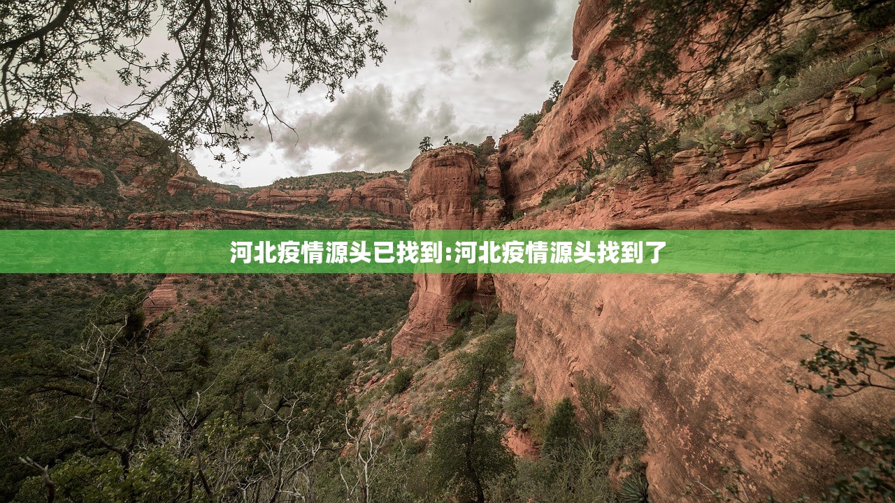 河北疫情源头已找到:河北疫情源头找到了