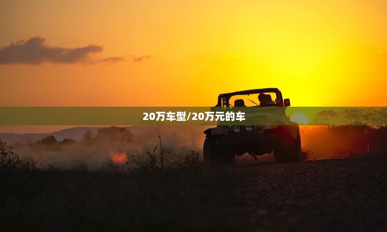 20万车型/20万元的车