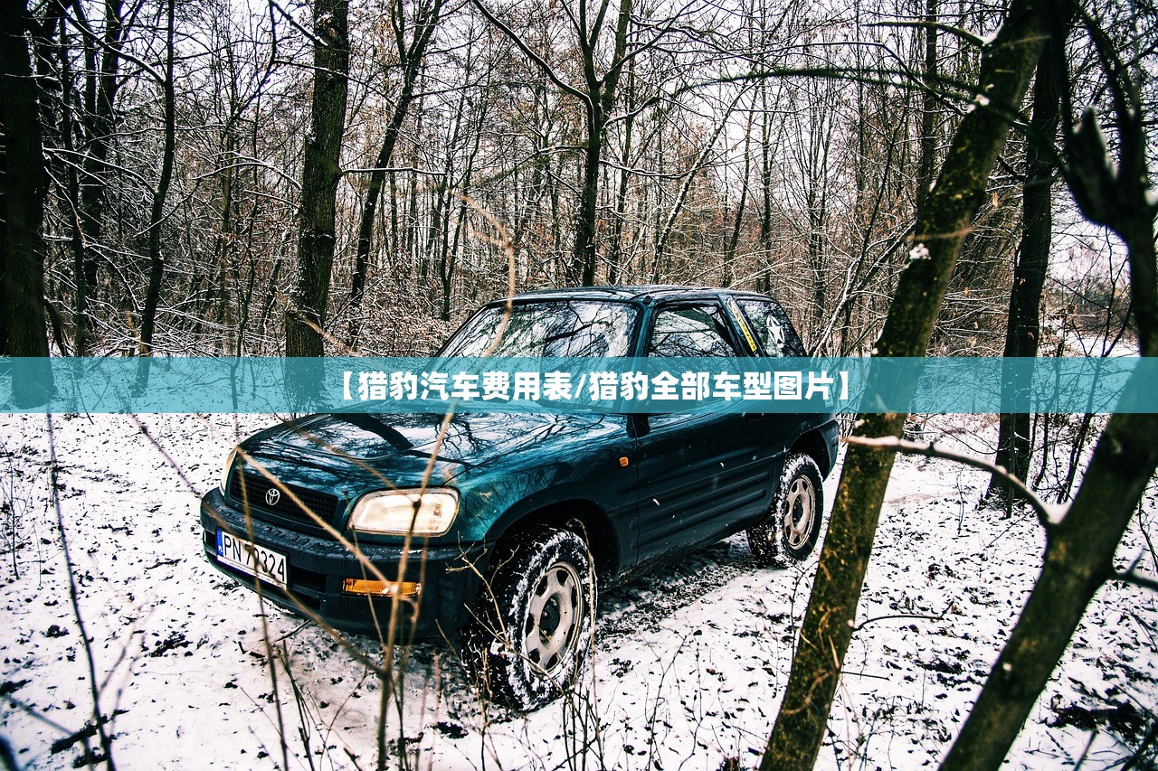 【猎豹汽车费用表/猎豹全部车型图片】