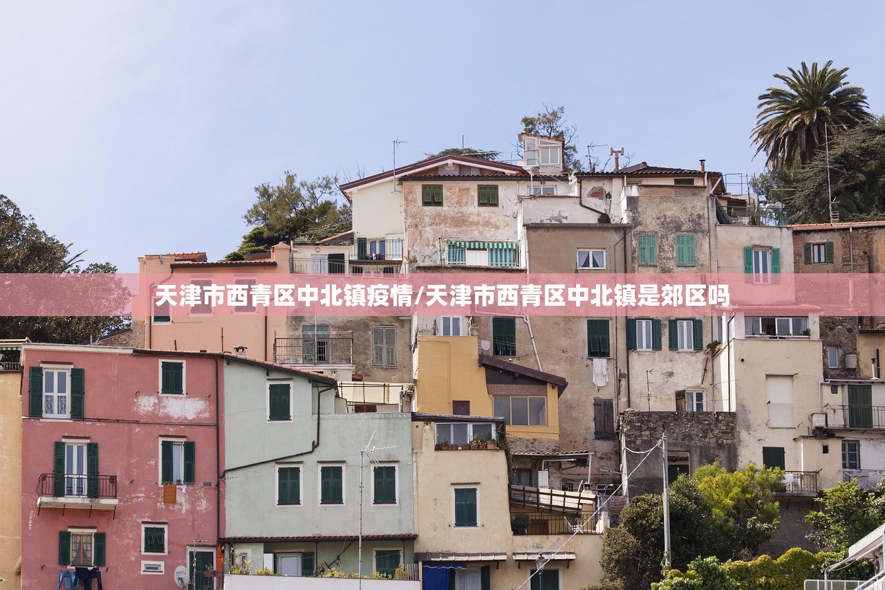 天津市西青区中北镇疫情/天津市西青区中北镇是郊区吗