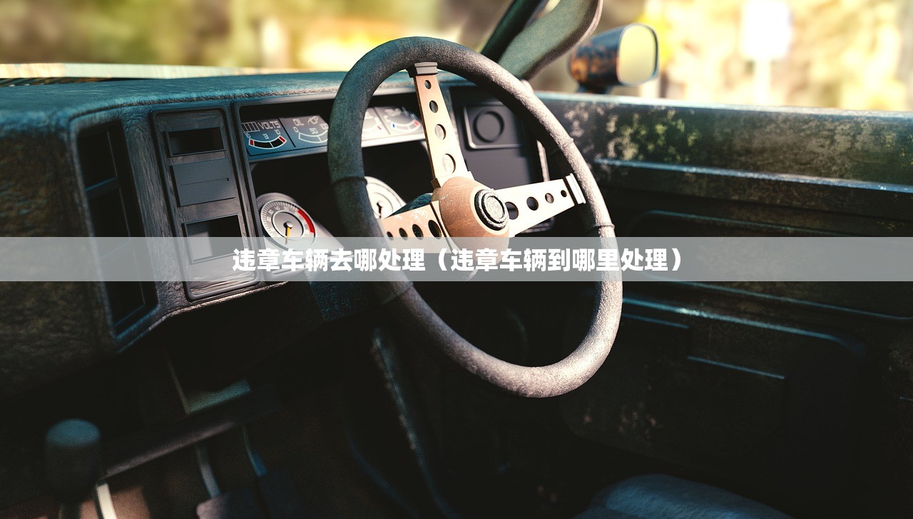 违章车辆去哪处理（违章车辆到哪里处理）