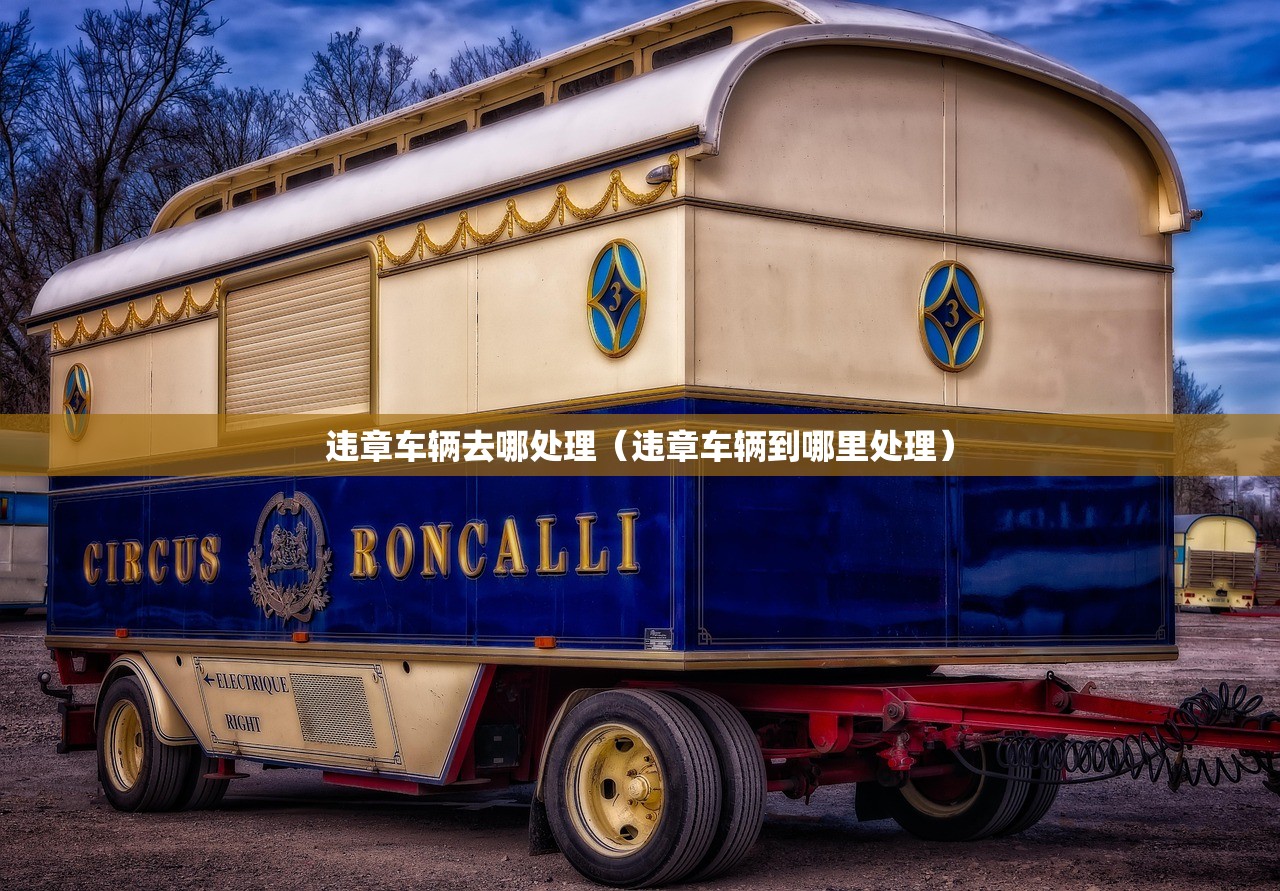 违章车辆去哪处理（违章车辆到哪里处理）