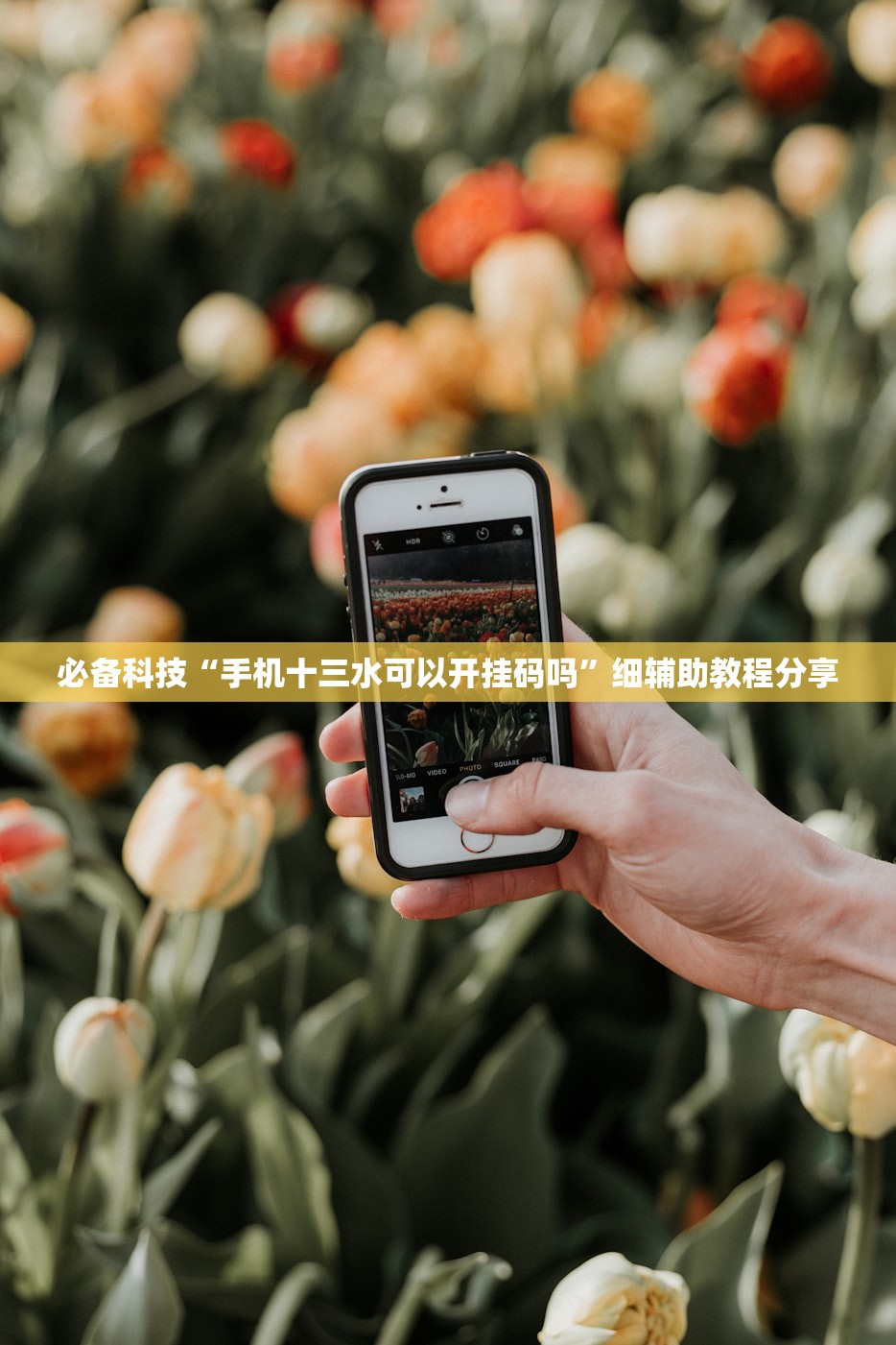 必备科技“手机十三水可以开挂码吗”细辅助教程分享
