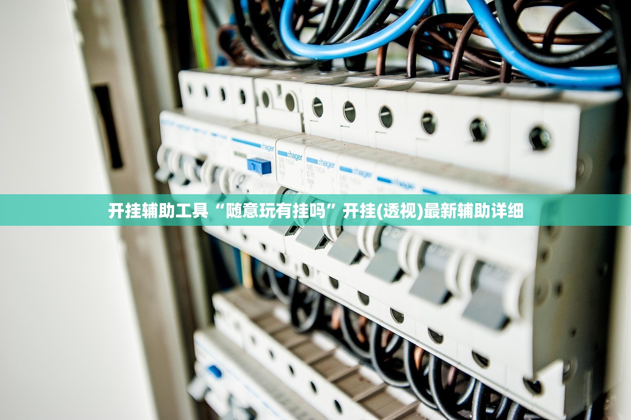开挂辅助工具“随意玩有挂吗”开挂(透视)最新辅助详细