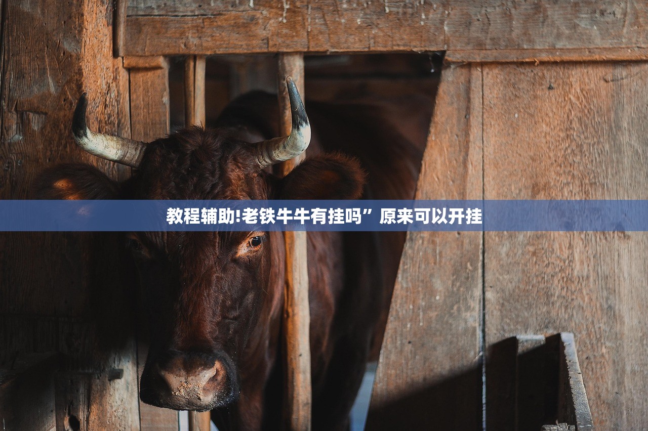 教程辅助!老铁牛牛有挂吗”原来可以开挂