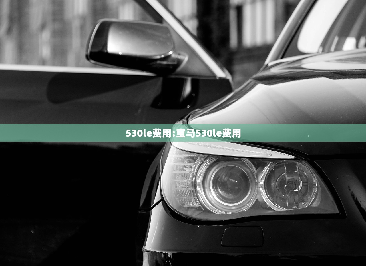 530le费用:宝马530le费用