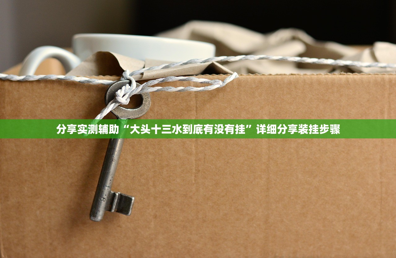 分享实测辅助“大头十三水到底有没有挂	”详细分享装挂步骤
