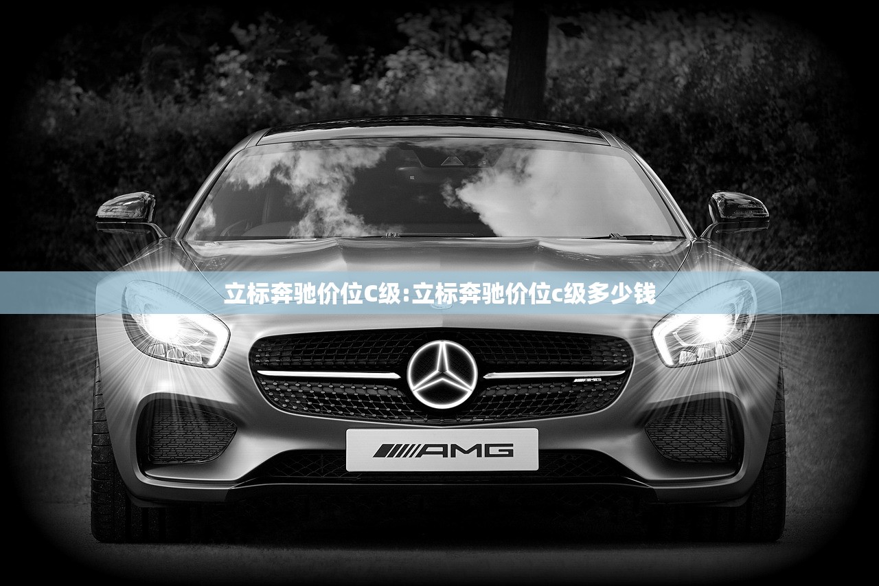 立标奔驰价位C级:立标奔驰价位c级多少钱