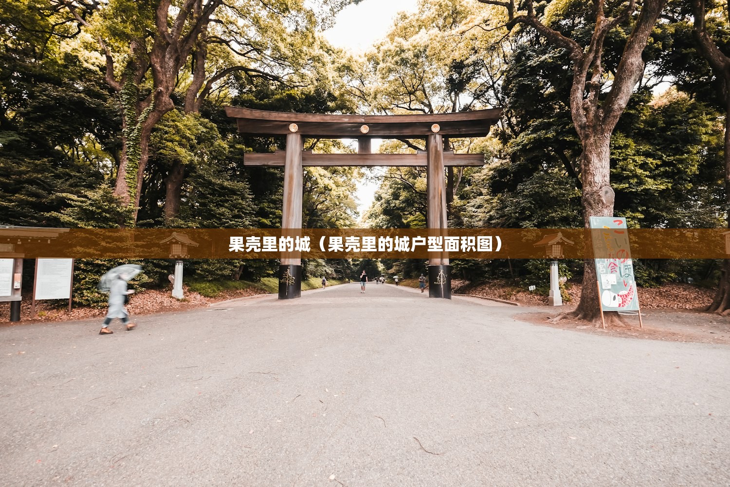 果壳里的城（果壳里的城户型面积图）