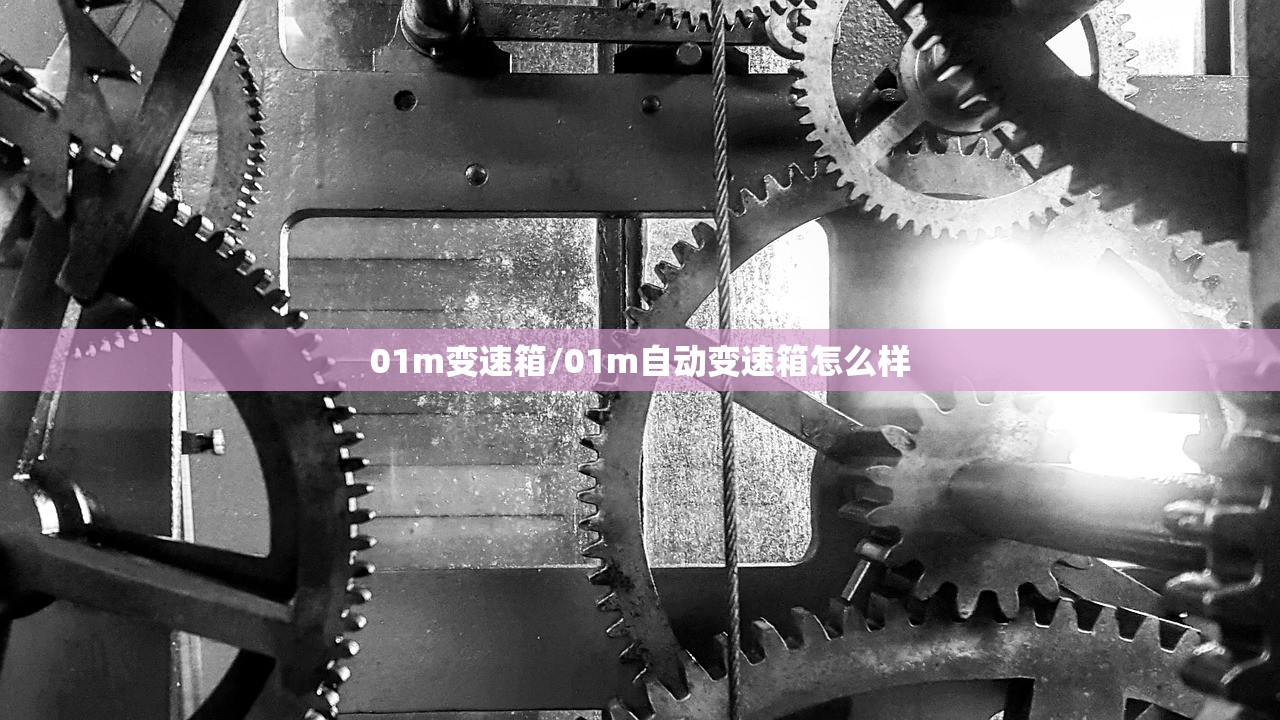 01m变速箱/01m自动变速箱怎么样