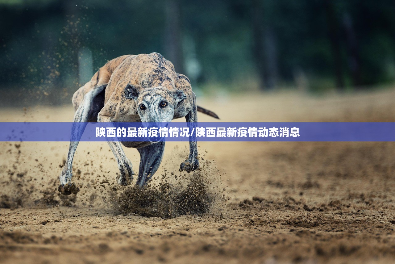 陕西的最新疫情情况/陕西最新疫情动态消息