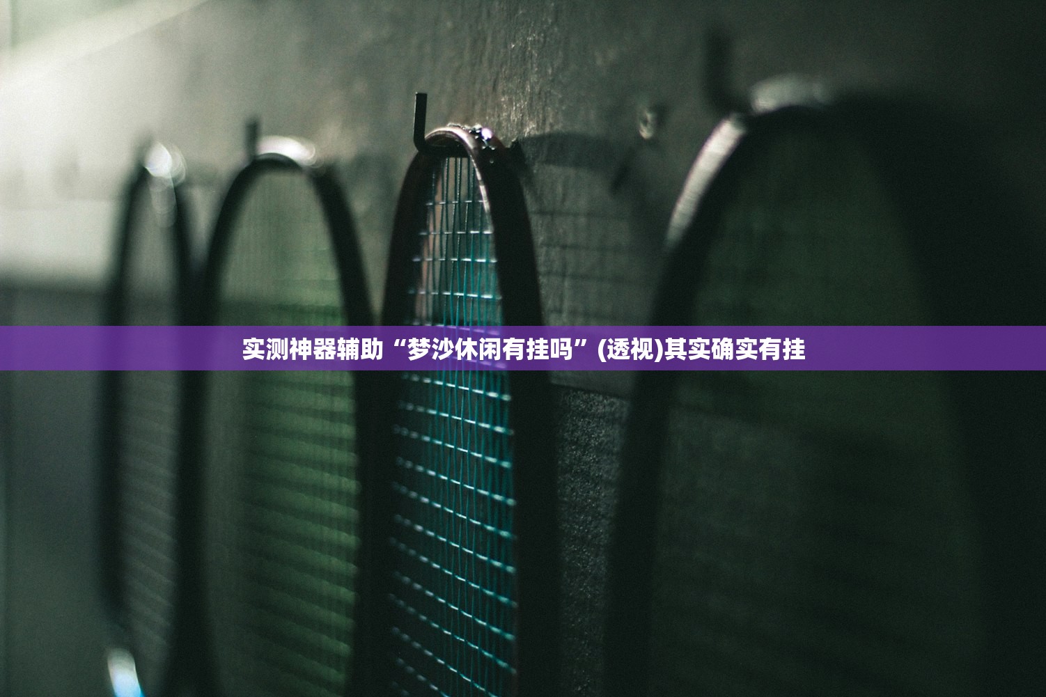 实测神器辅助“梦沙休闲有挂吗”(透视)其实确实有挂