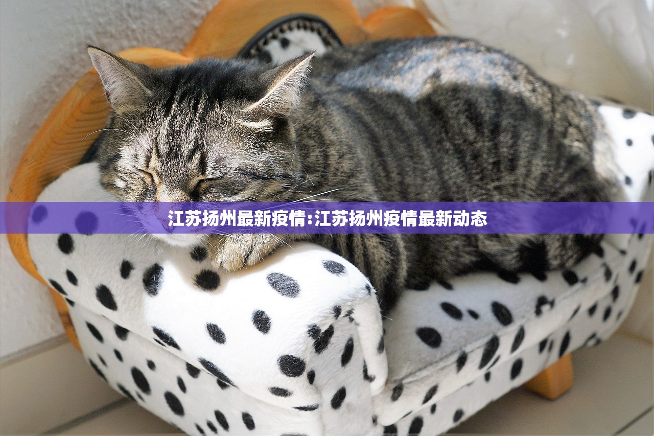 江苏扬州最新疫情:江苏扬州疫情最新动态