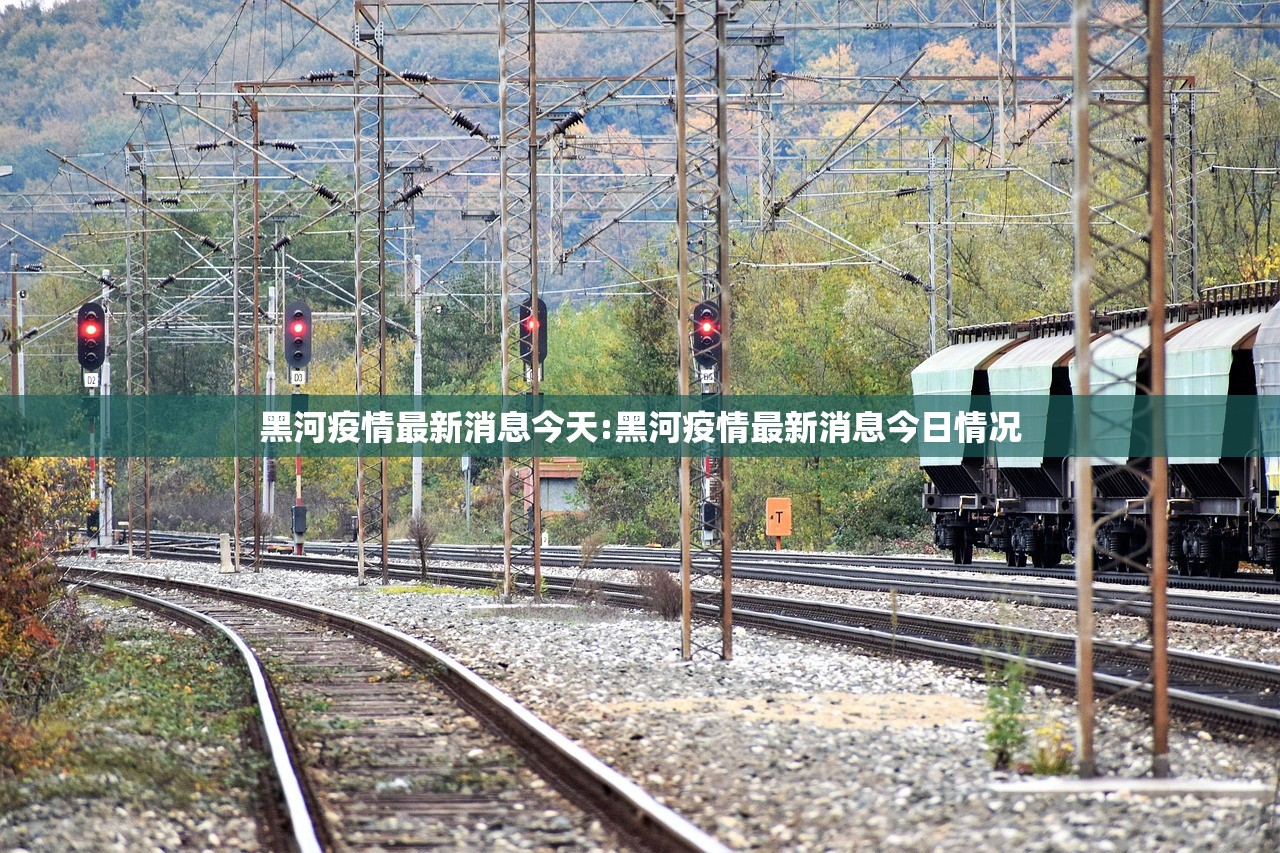 黑河疫情最新消息今天:黑河疫情最新消息今日情况