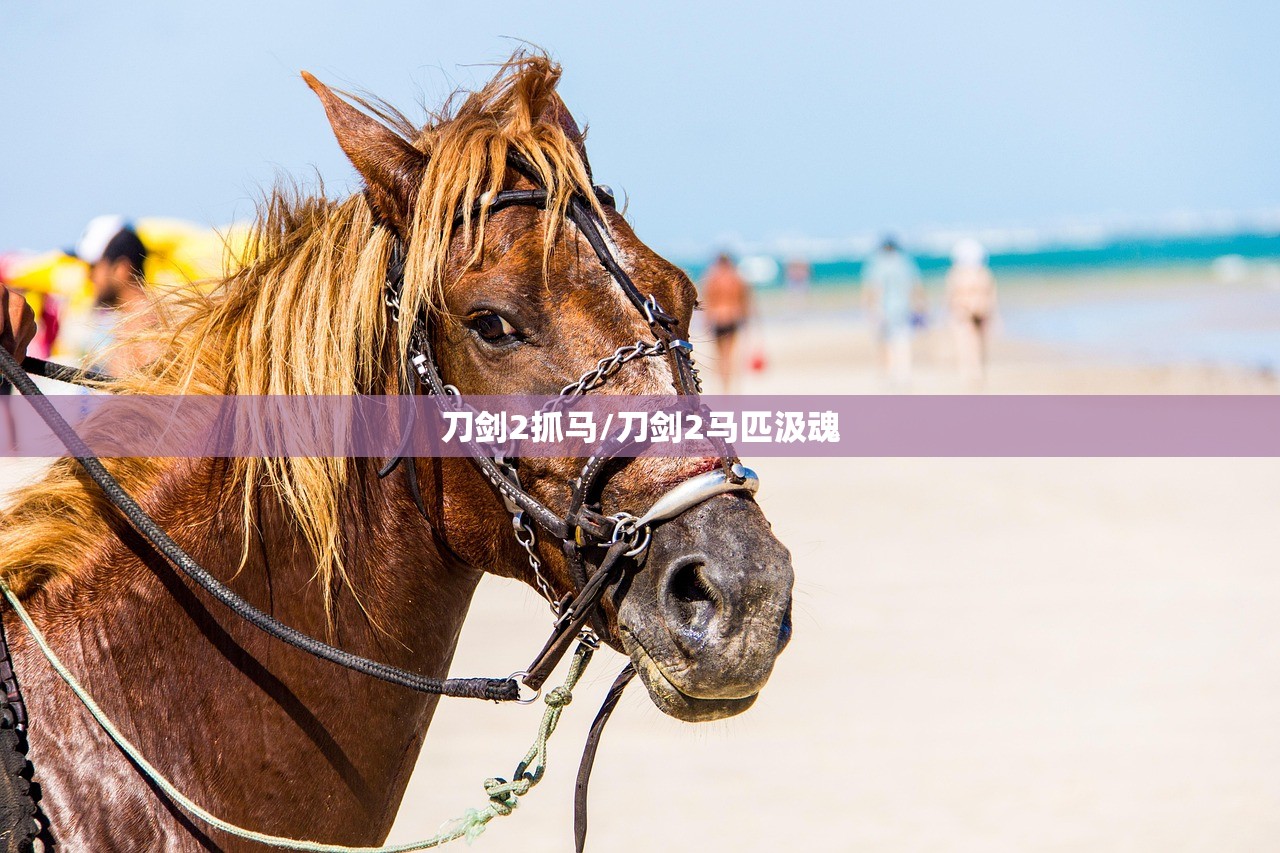 刀剑2抓马/刀剑2马匹汲魂 刀剑2抓马/刀剑2马匹汲魂