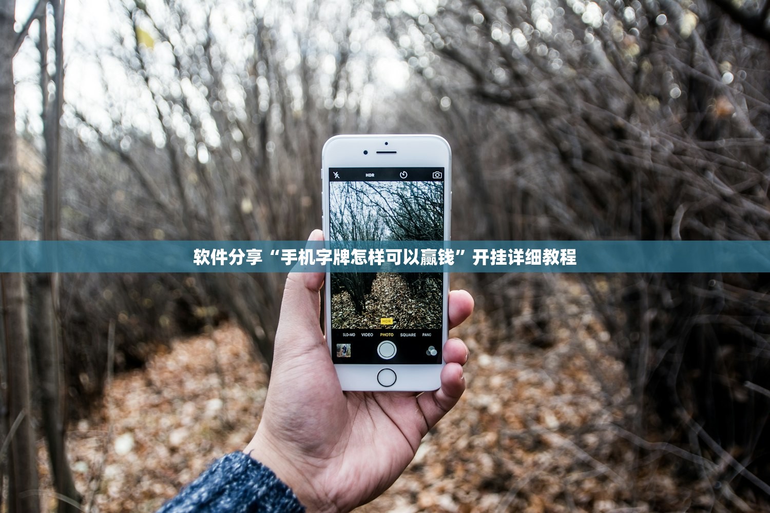 软件分享“手机字牌怎样可以赢钱”开挂详细教程