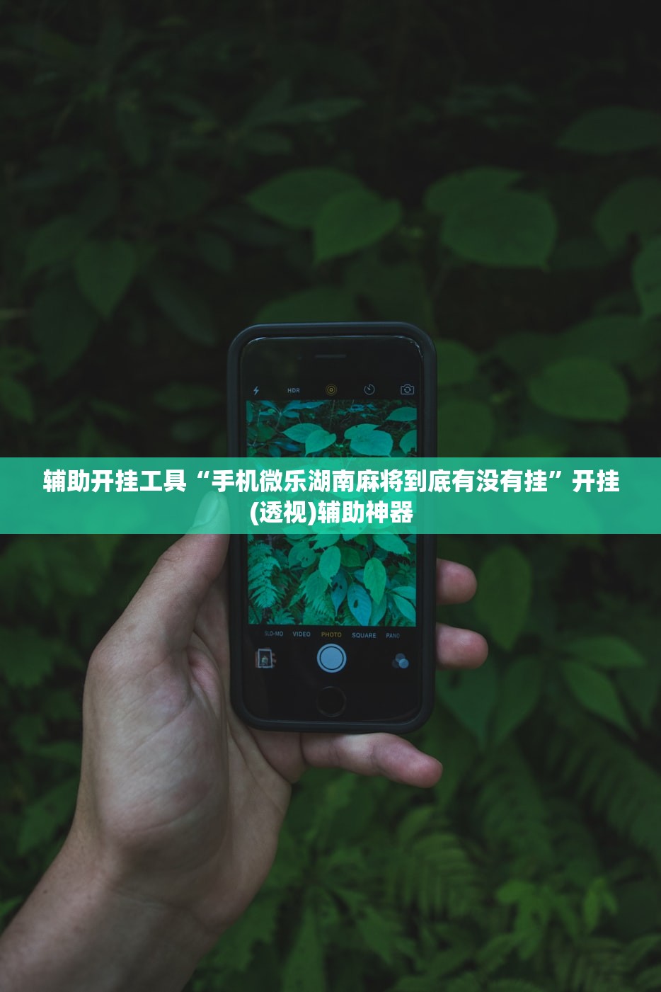 辅助开挂工具“手机微乐湖南麻将到底有没有挂”开挂(透视)辅助神器