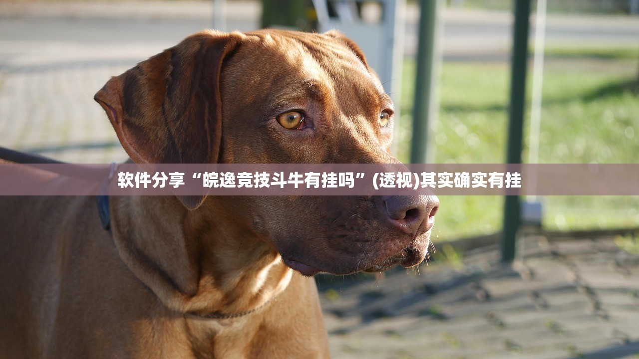 可用版本“人人互娱可以开挂吗贴吧”开挂详细教程