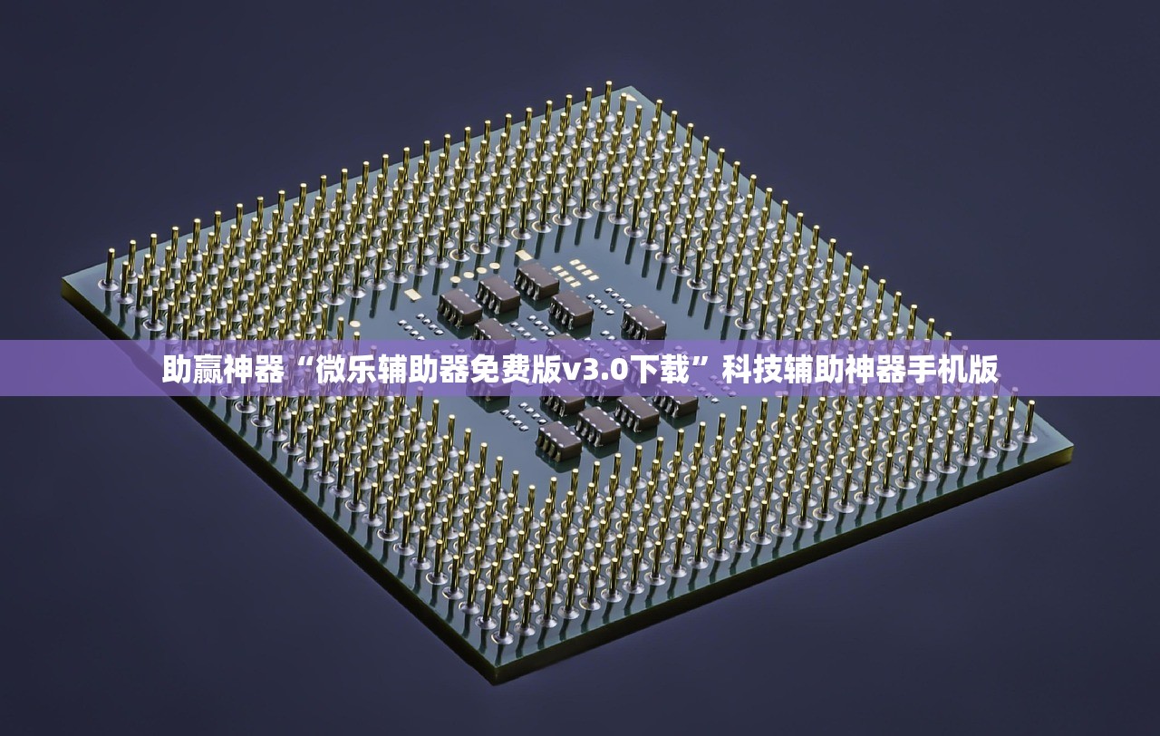 助赢神器“微乐辅助器免费版v3.0下载”科技辅助神器手机版