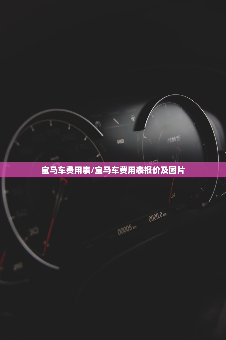 宝马车费用表/宝马车费用表报价及图片