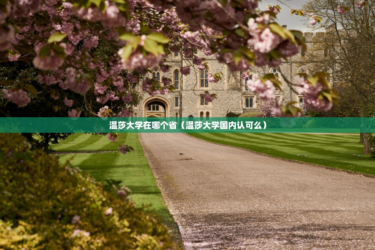 使用分享!微信小程序麻将可以做弊吗”(透视)其实确实有挂