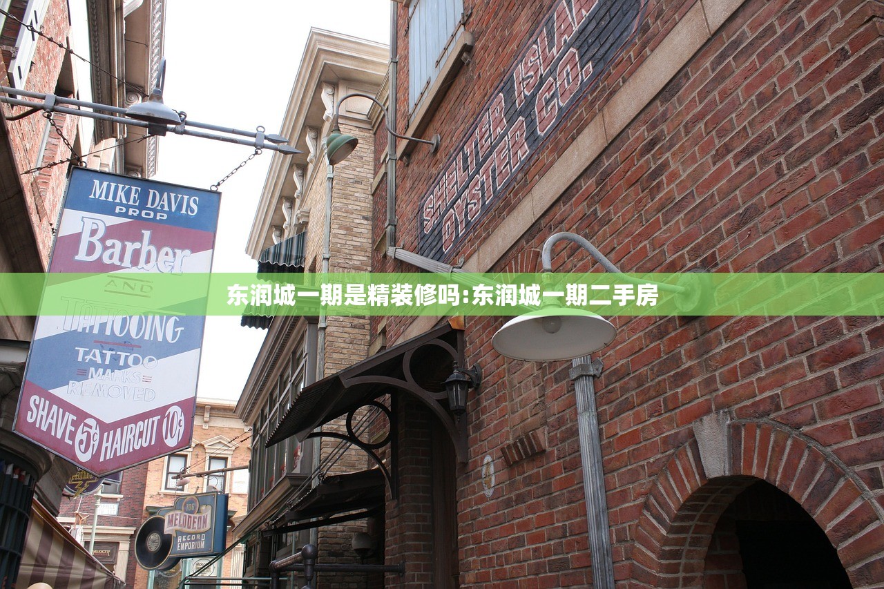 东润城一期是精装修吗:东润城一期二手房