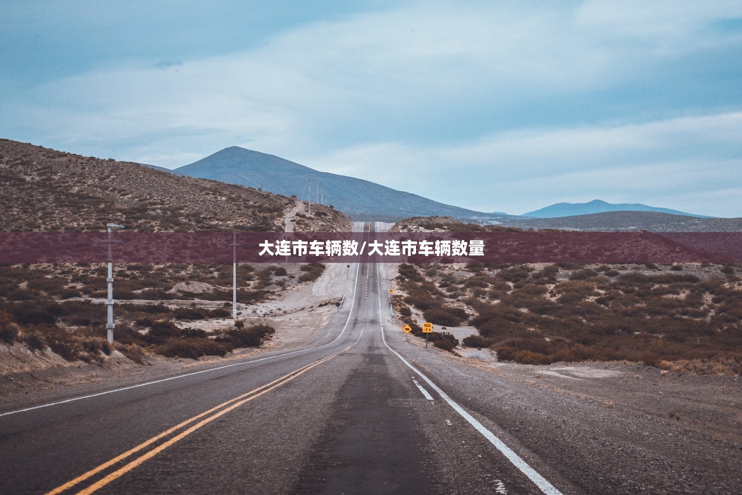 大连市车辆数/大连市车辆数量
