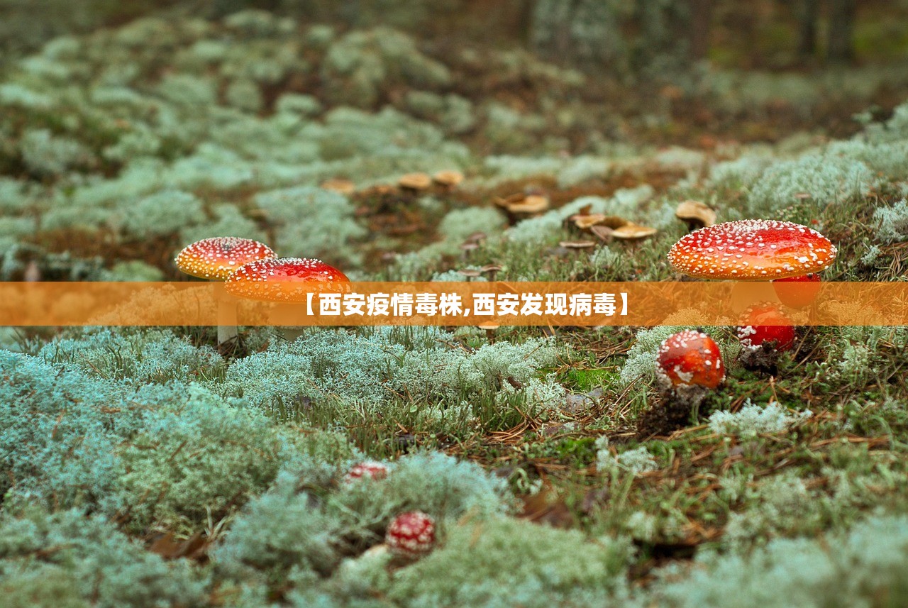 【25日油价调整最新消息/25日油价92汽油】