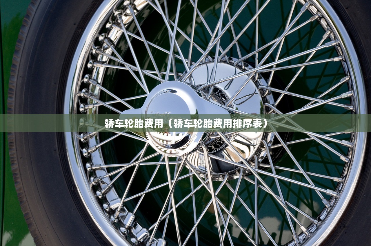 轿车轮胎费用（轿车轮胎费用排序表）