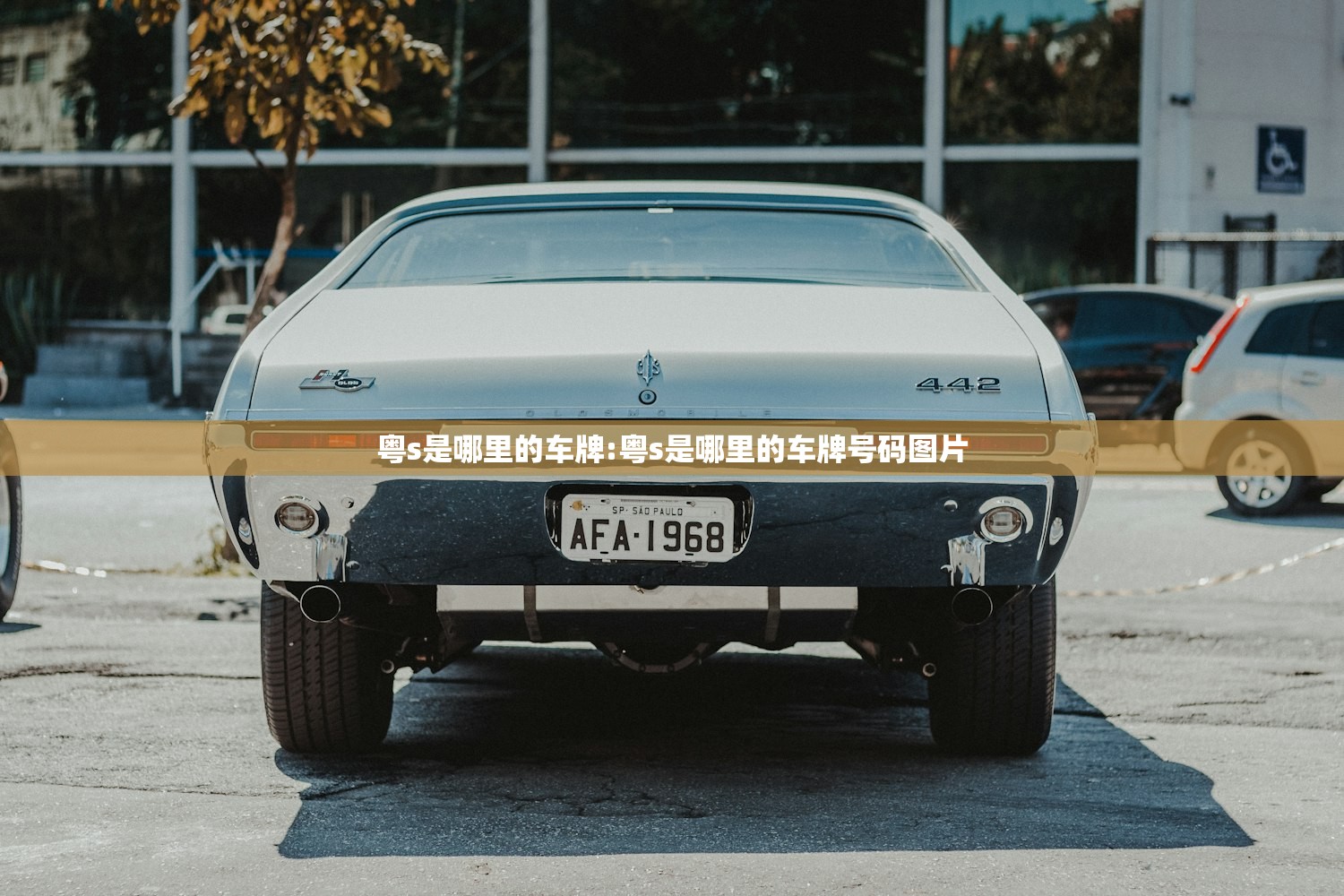 粤s是哪里的车牌:粤s是哪里的车牌号码图片