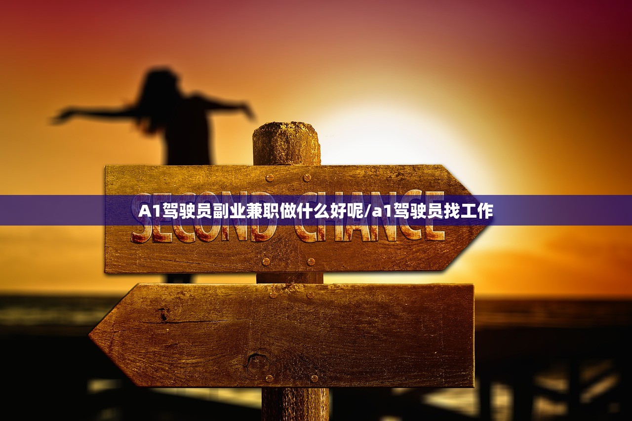 A1驾驶员副业兼职做什么好呢/a1驾驶员找工作