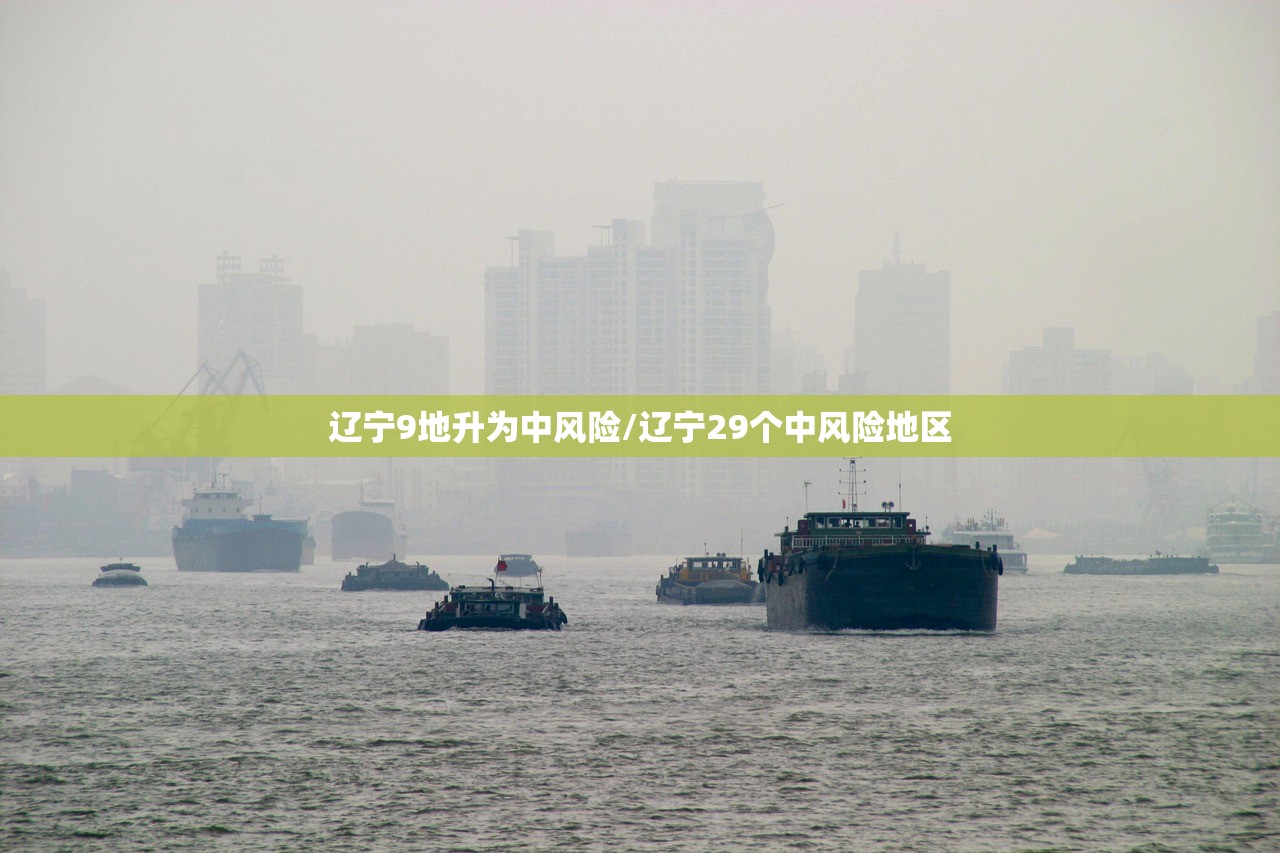 辽宁9地升为中风险/辽宁29个中风险地区