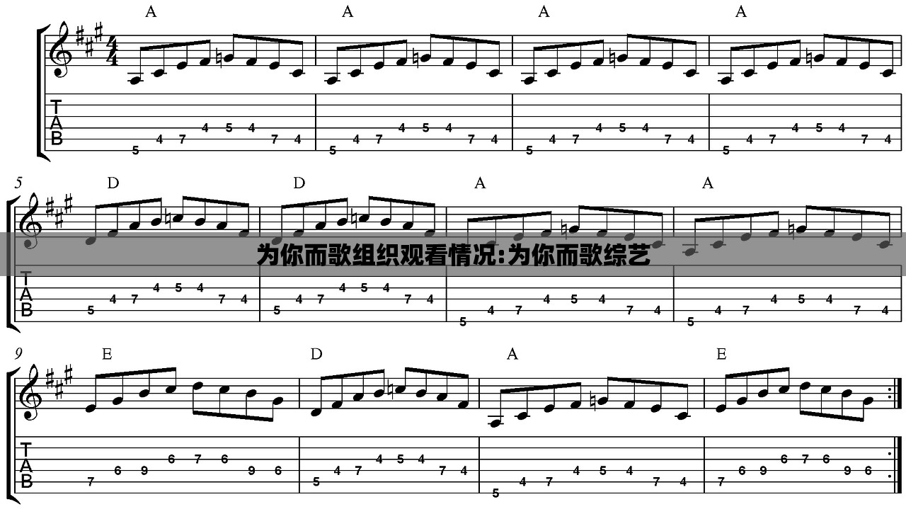 为你而歌组织观看情况:为你而歌综艺