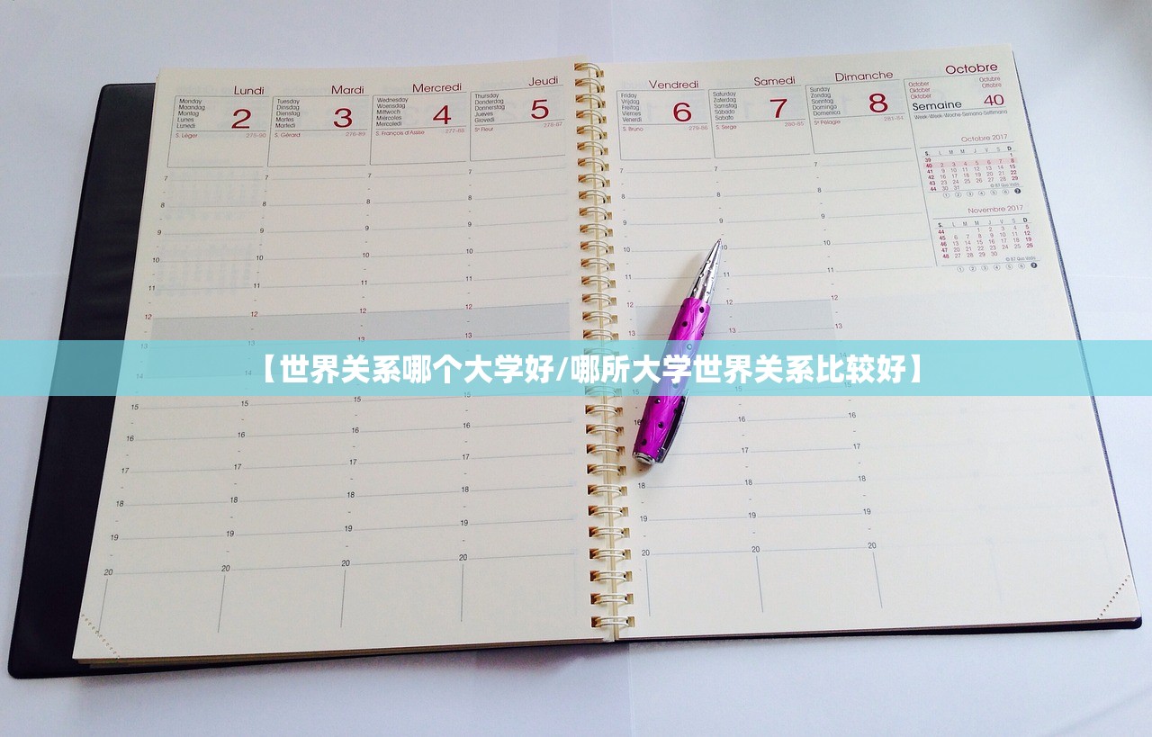 【世界关系哪个大学好/哪所大学世界关系比较好】