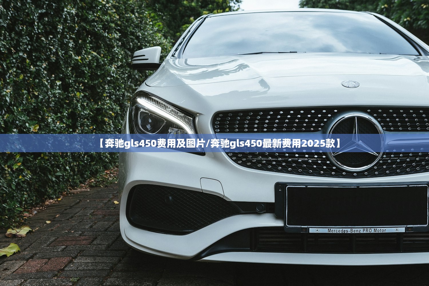 【奔驰gls450费用及图片/奔驰gls450最新费用2025款】