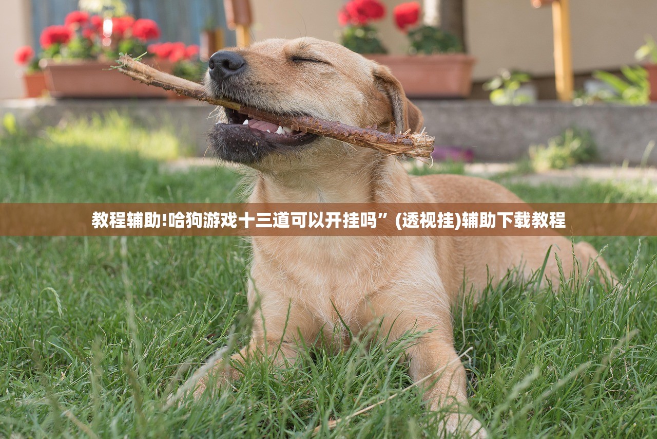 教程辅助!哈狗游戏十三道可以开挂吗”(透视挂)辅助下载教程