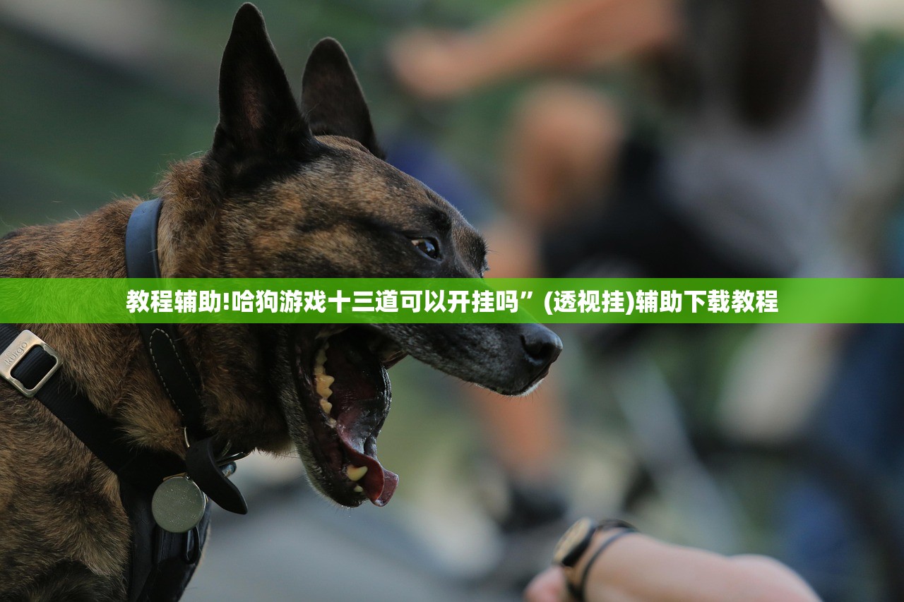 教程辅助!哈狗游戏十三道可以开挂吗	”(透视挂)辅助下载教程