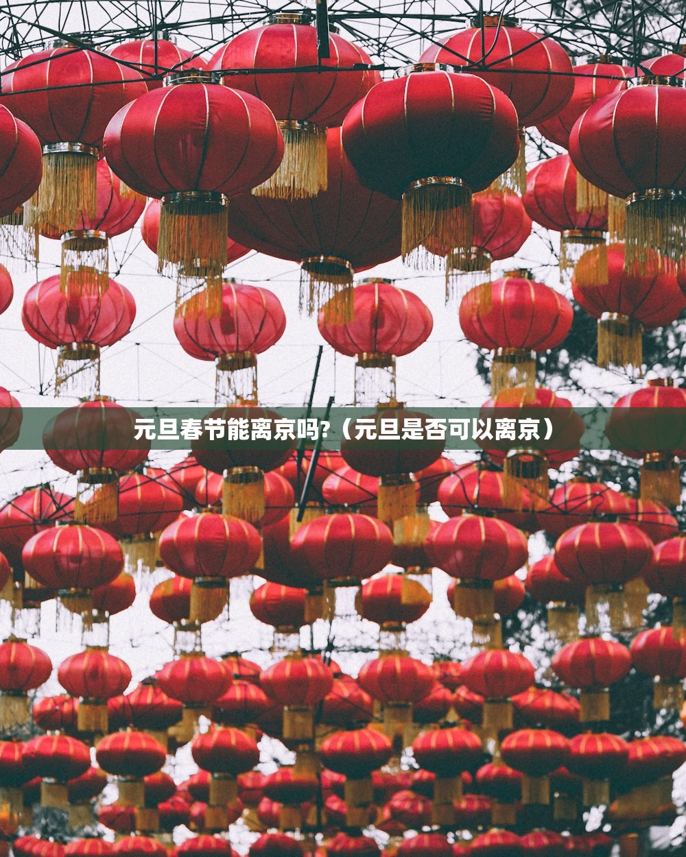 元旦春节能离京吗?（元旦是否可以离京）