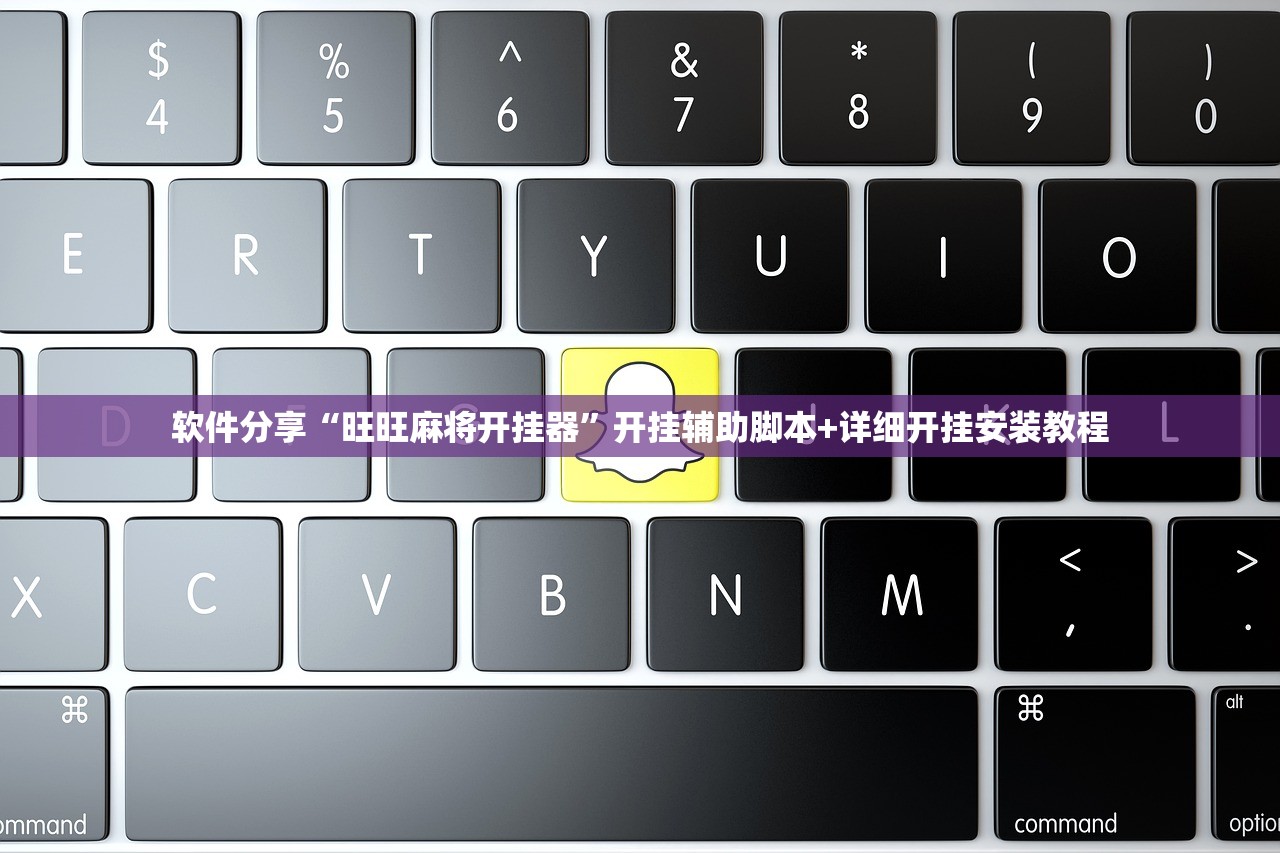 软件分享“旺旺麻将开挂器”开挂辅助脚本+详细开挂安装教程