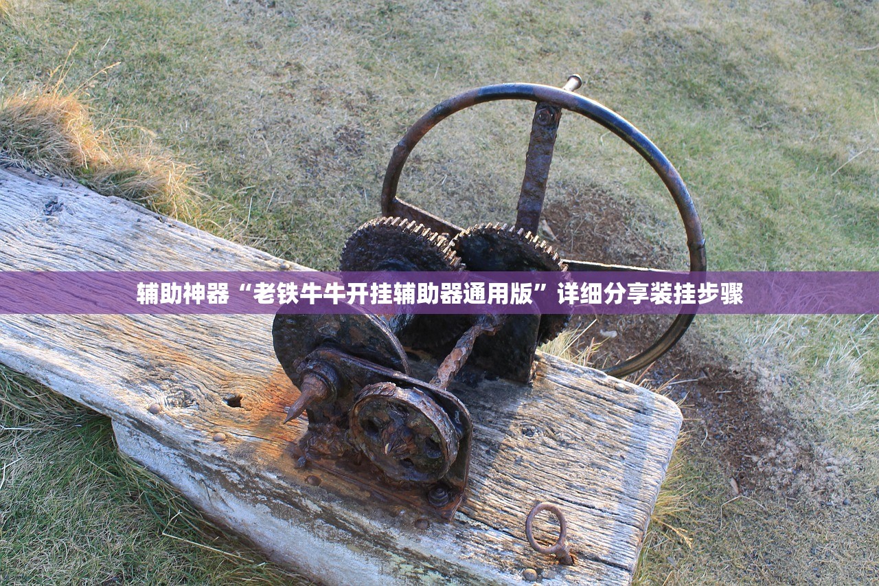 辅助神器“老铁牛牛开挂辅助器通用版	”详细分享装挂步骤