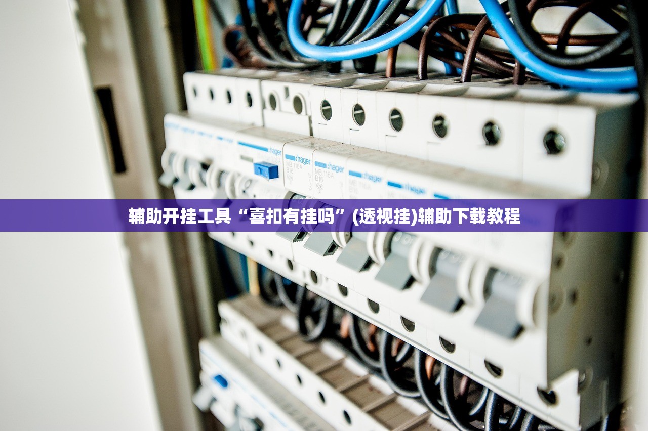 辅助开挂工具“喜扣有挂吗”(透视挂)辅助下载教程