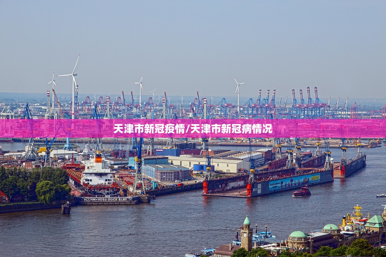 天津市新冠疫情/天津市新冠病情况 天津市新冠疫情/天津市新冠病情况