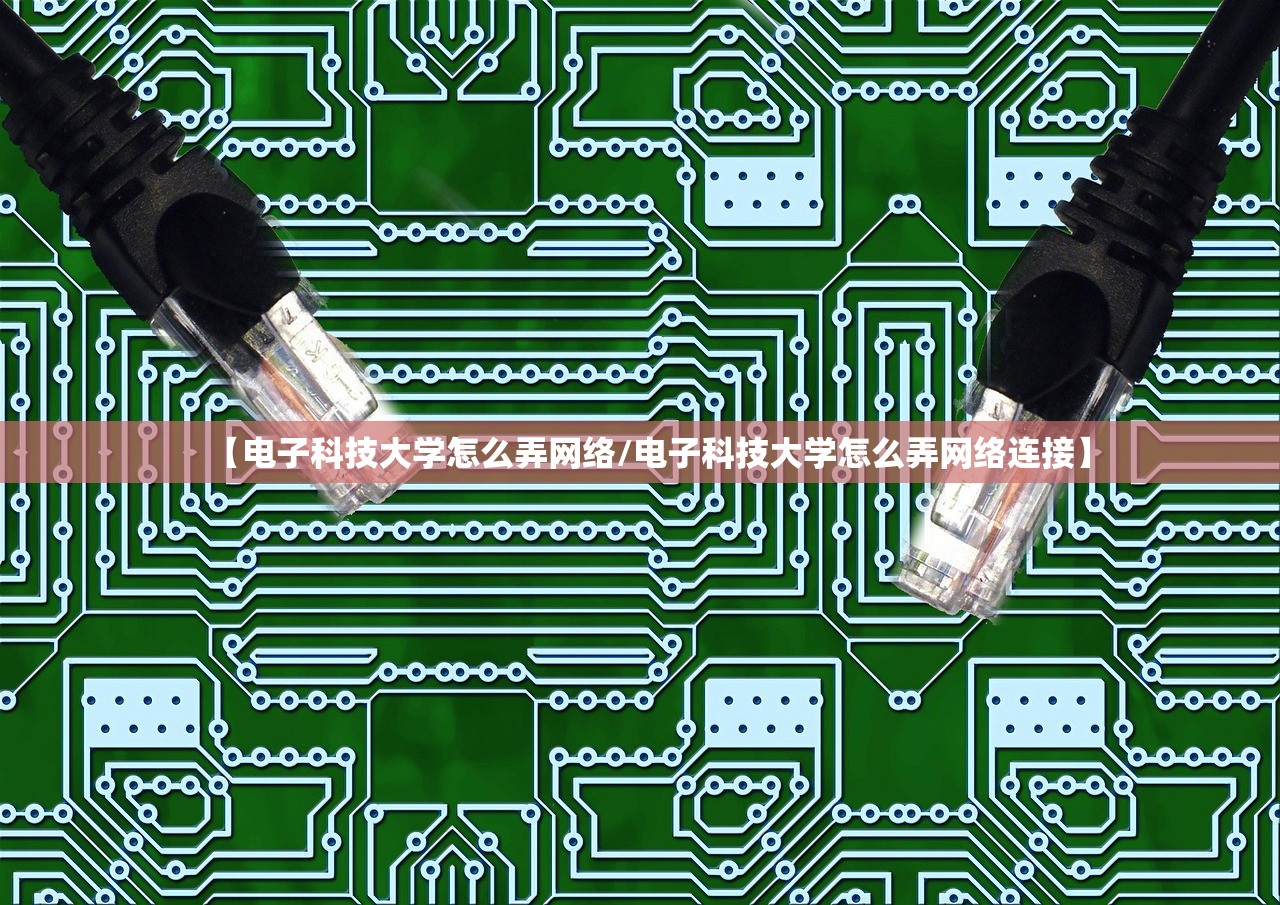 【电子科技大学怎么弄网络/电子科技大学怎么弄网络连接】