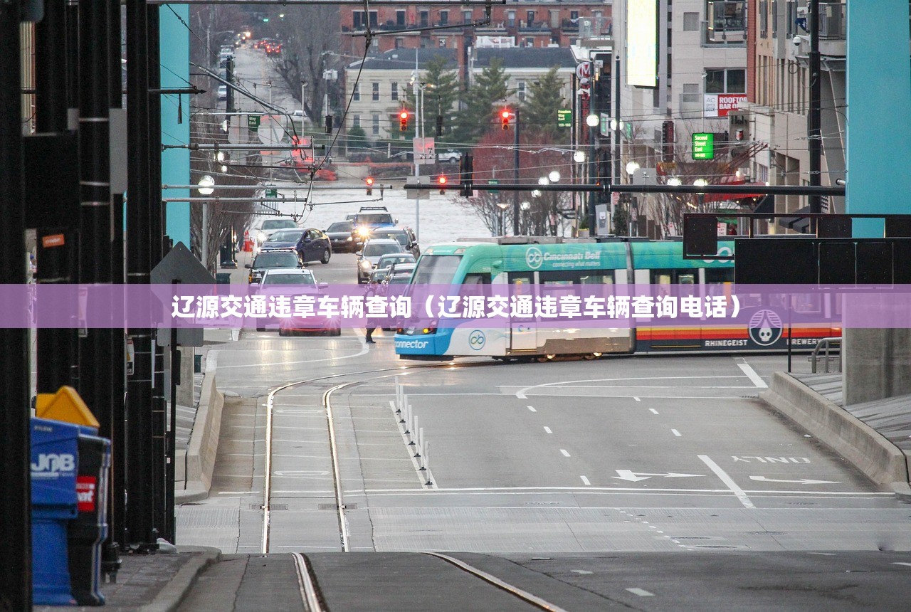 辽源交通违章车辆查询（辽源交通违章车辆查询电话）