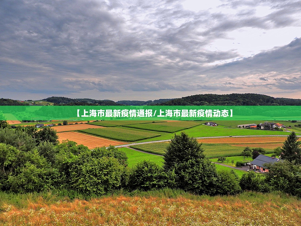 31省份新增12例确诊:31省份新增确诊病例11例